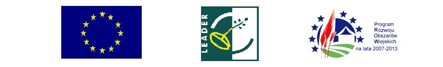 - logo_prow_lider.jpg